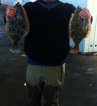 Flounder In Galveston